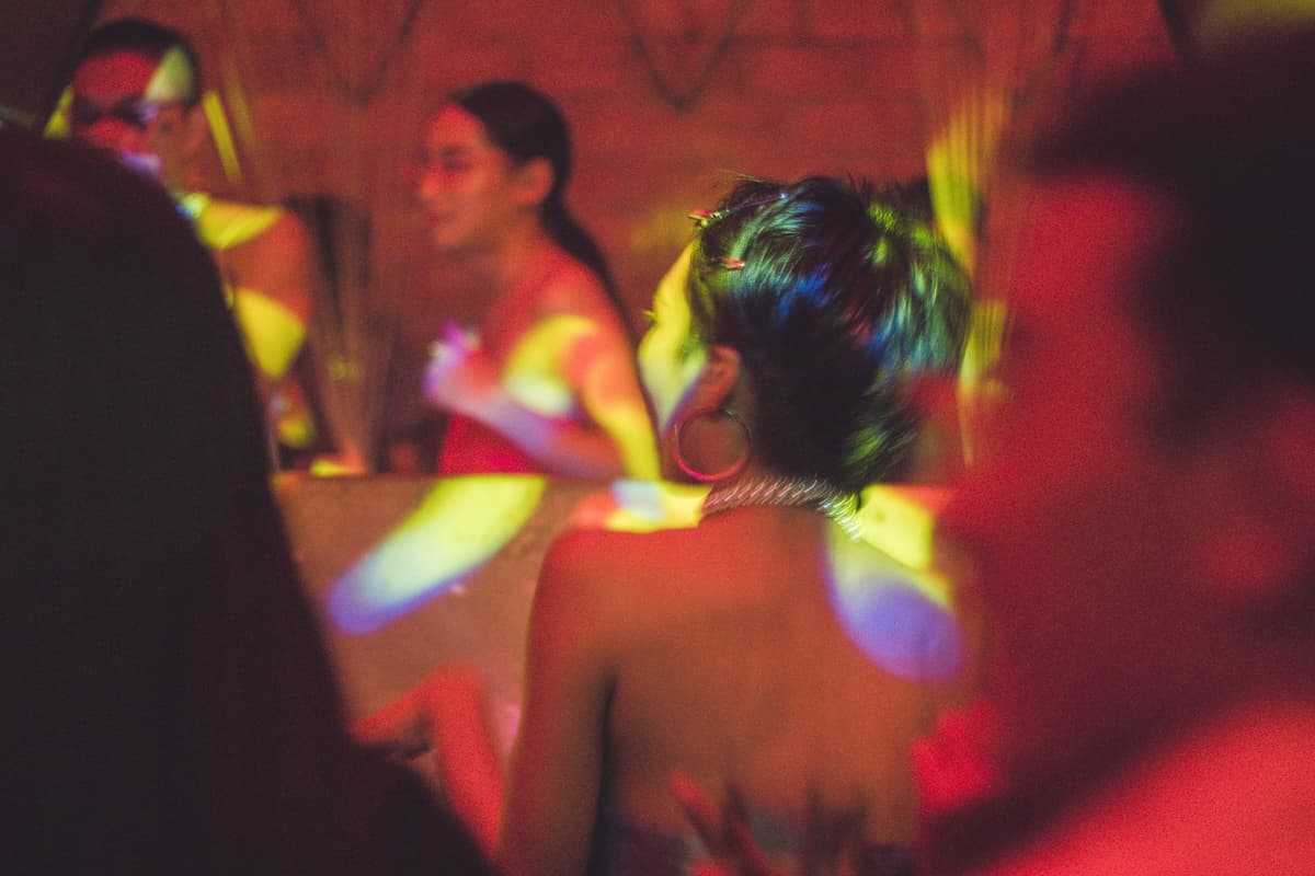 Elephant Party is Not Your Usual Night Out